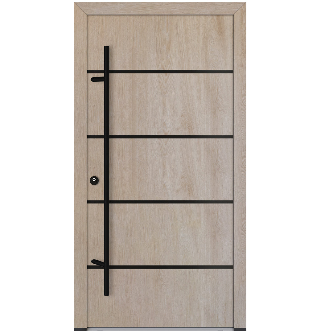 Alu-Steel Door - DL02 Black Edition