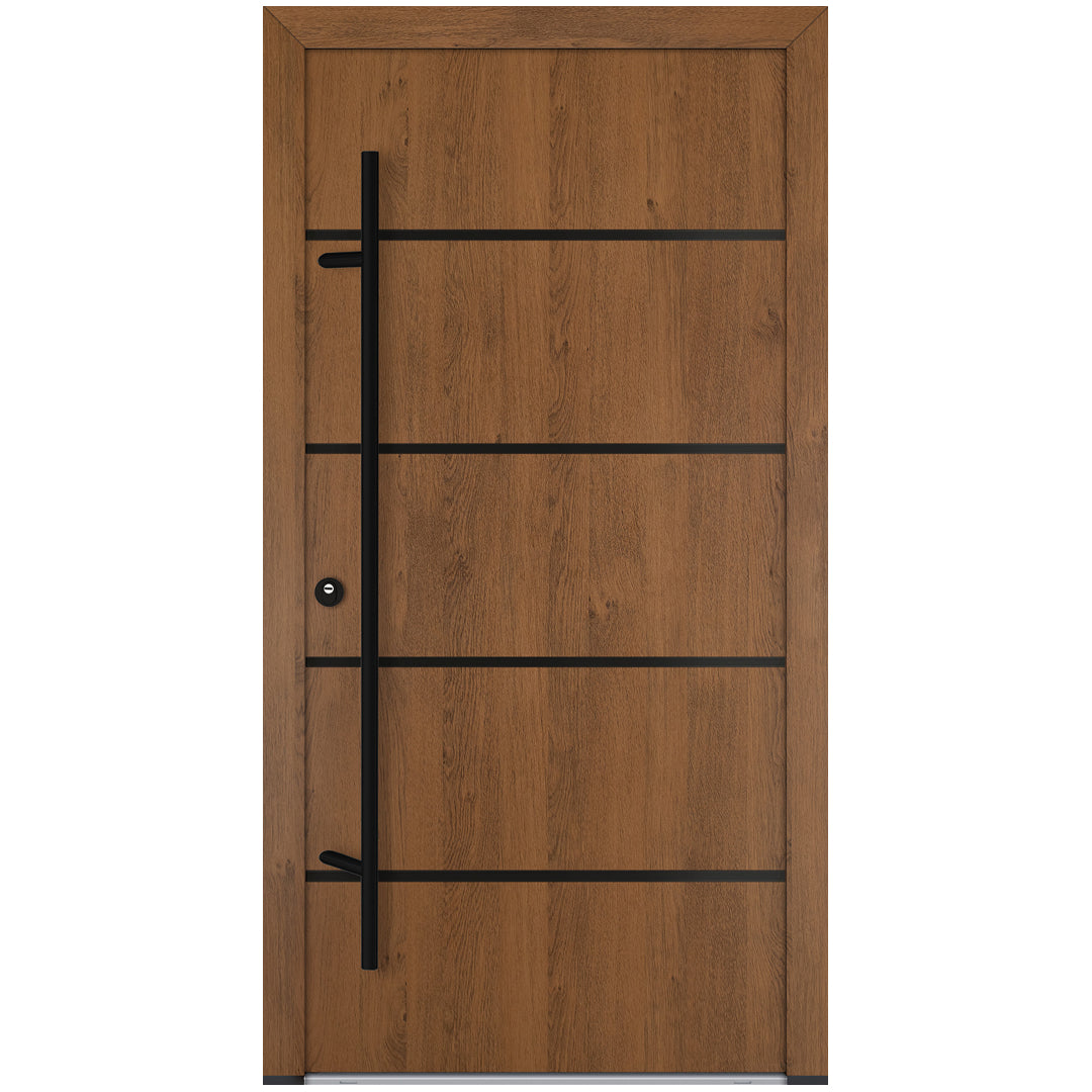 Alu-Steel Door - DL02 Black Edition