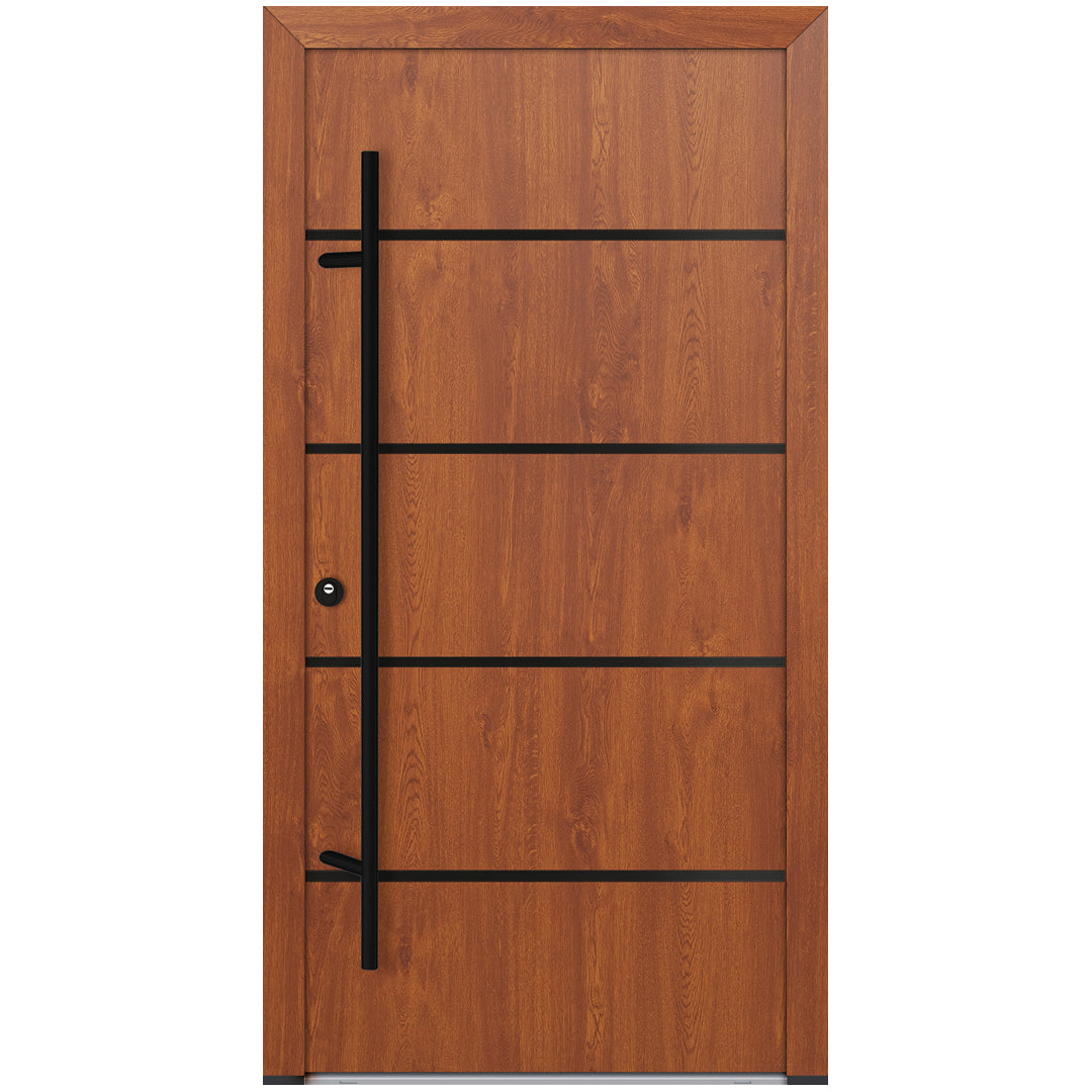 Alu-Steel Door - DL02 Black Edition