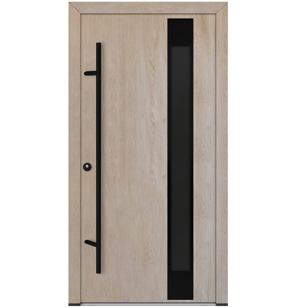 Alu-Steel Door - DL04 Black Edition