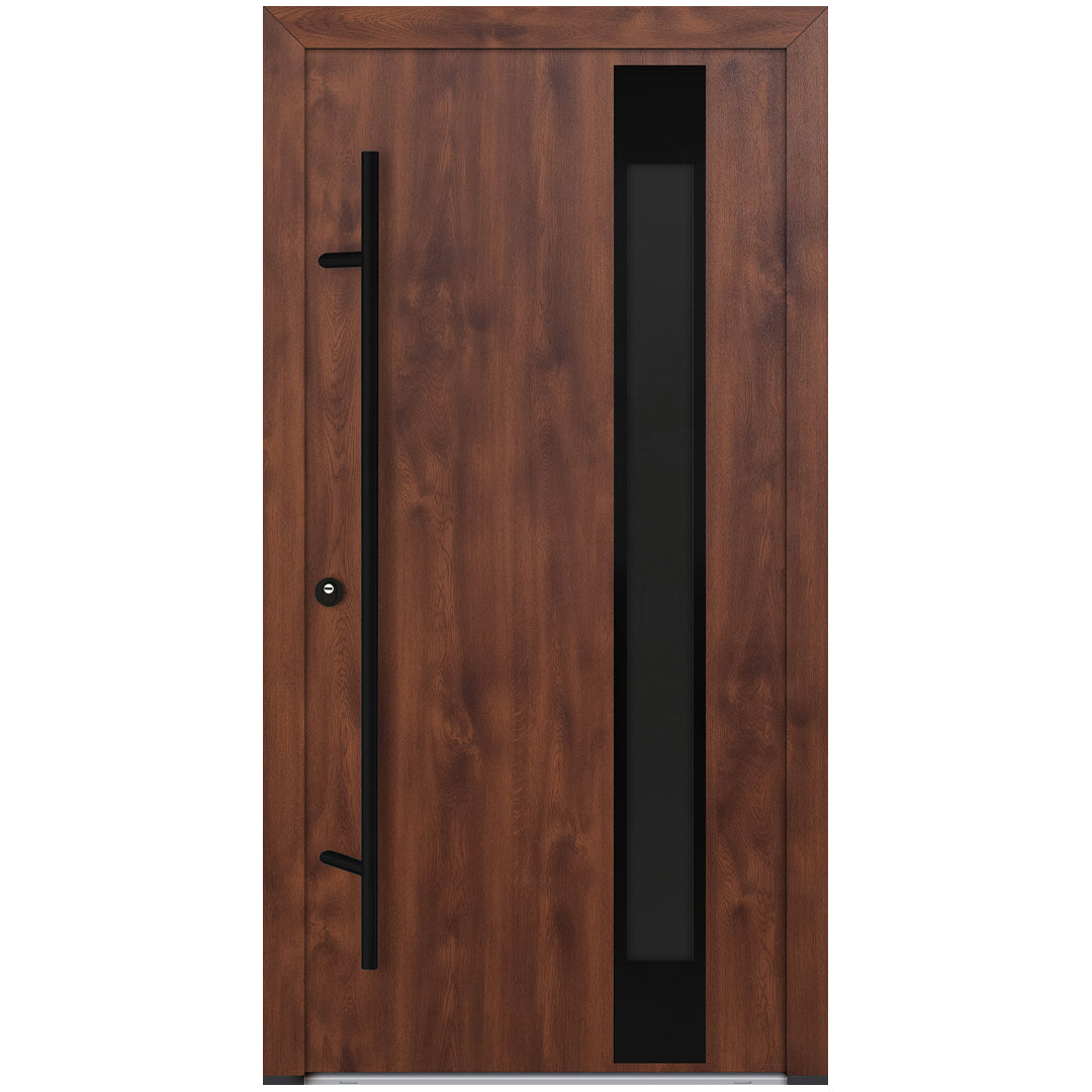 Alu-Steel Door - DL04 Black Edition