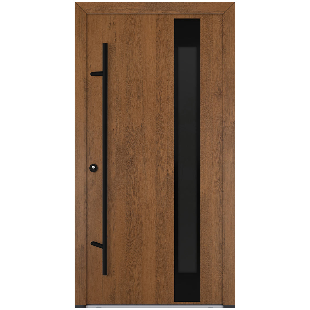 Alu-Steel Door - DL04 Black Edition