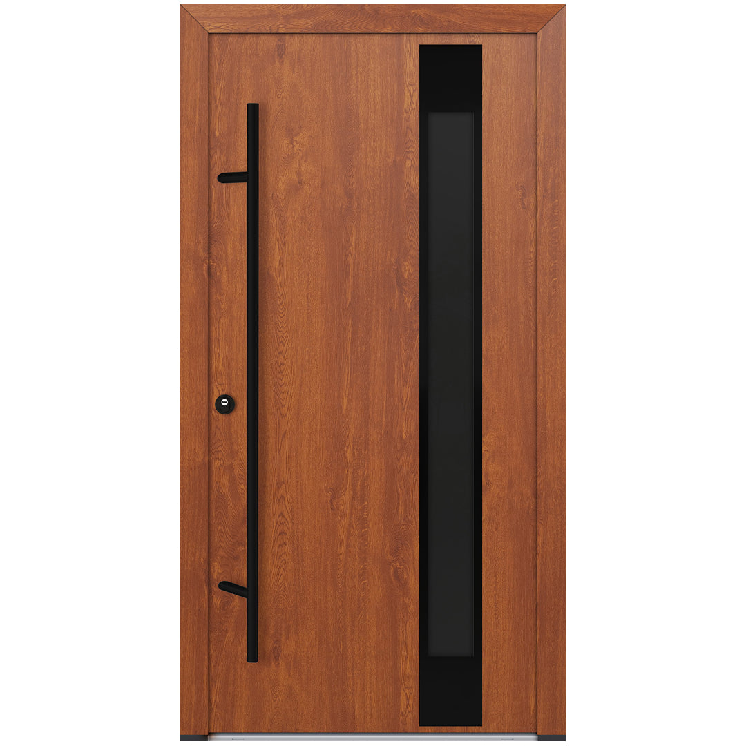 Alu-Steel Door - DL04 Black Edition
