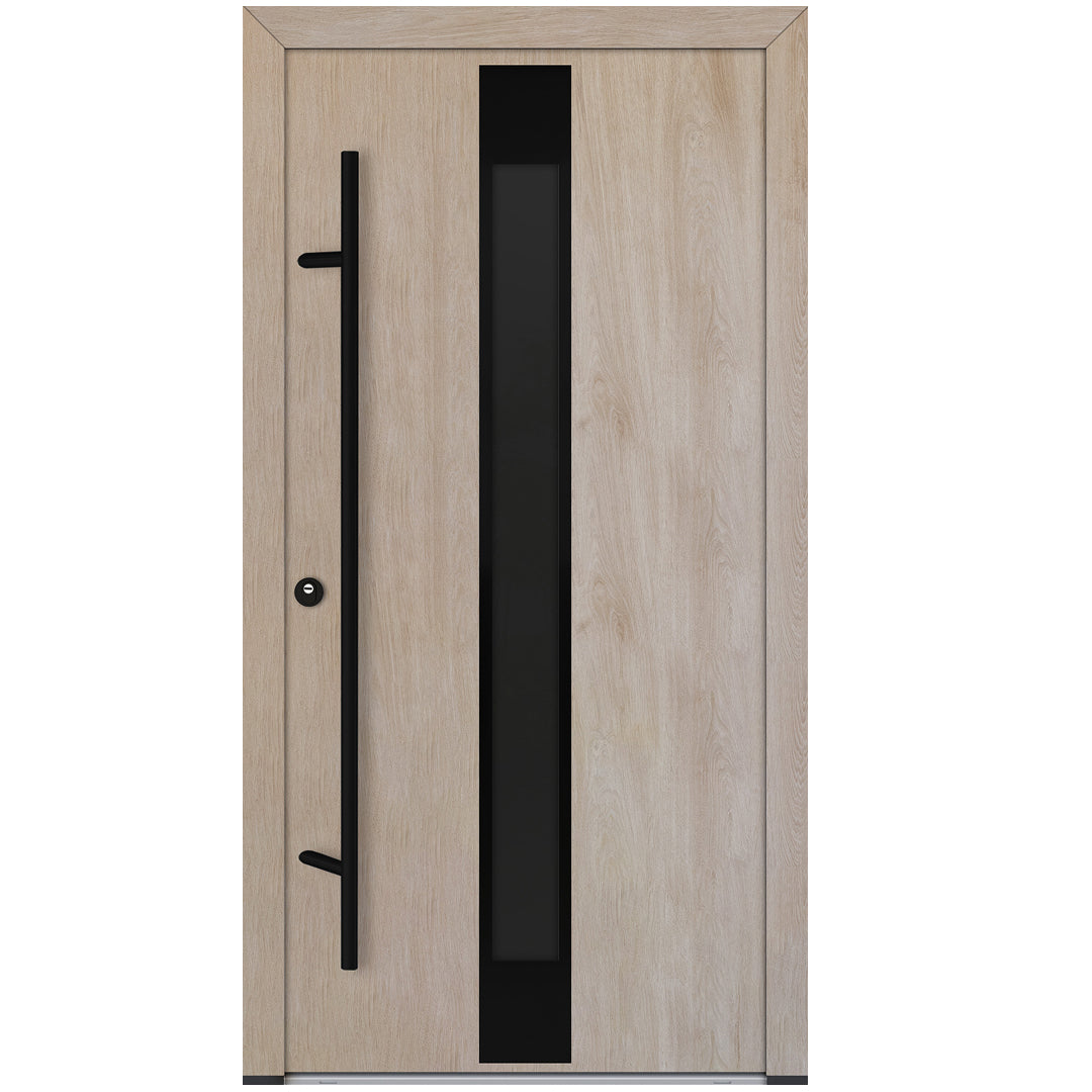 Alu-Steel Door - DL05 Black Edition