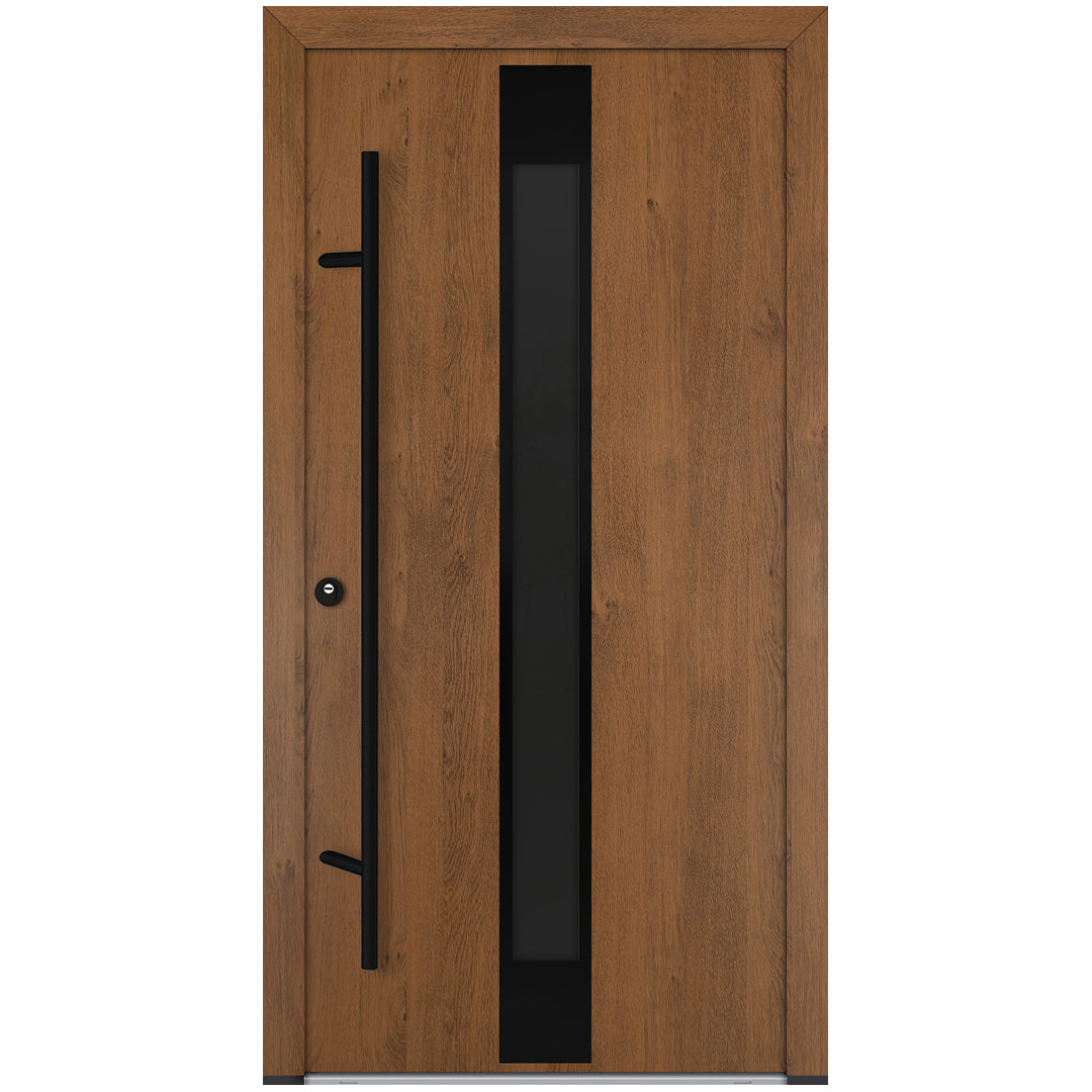 Alu-Steel Door - DL05 Black Edition