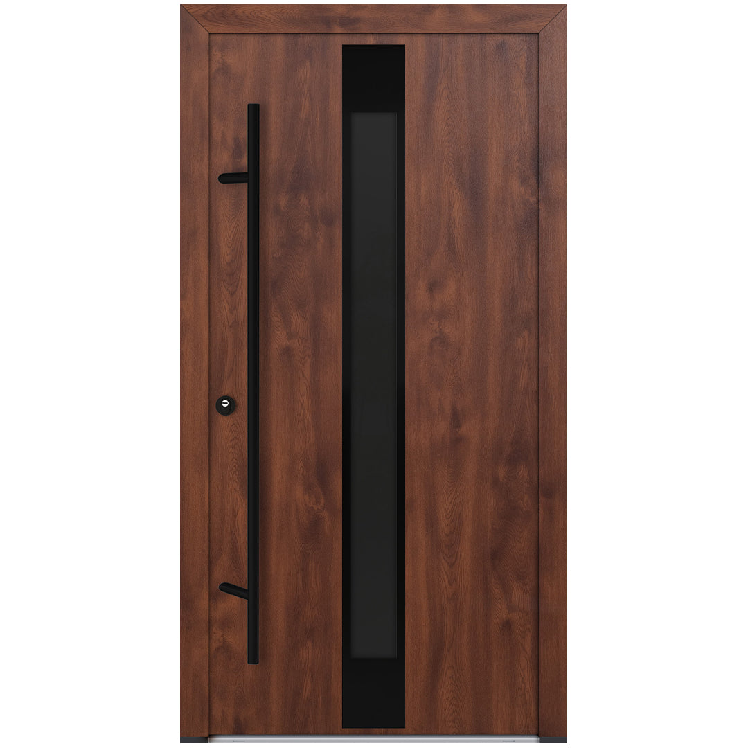 Alu-Steel Door - DL05 Black Edition