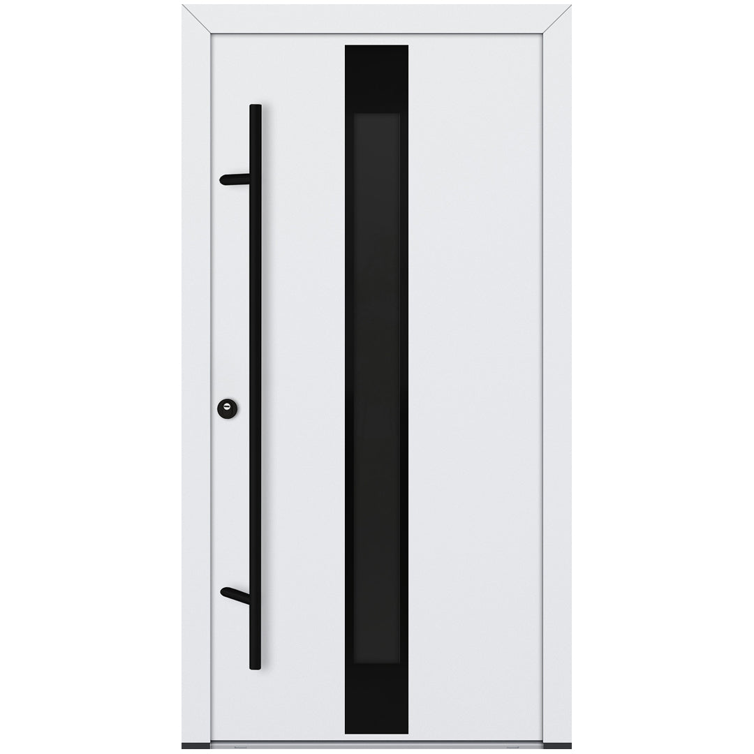 Alu-Steel Door - DL05 Black Edition
