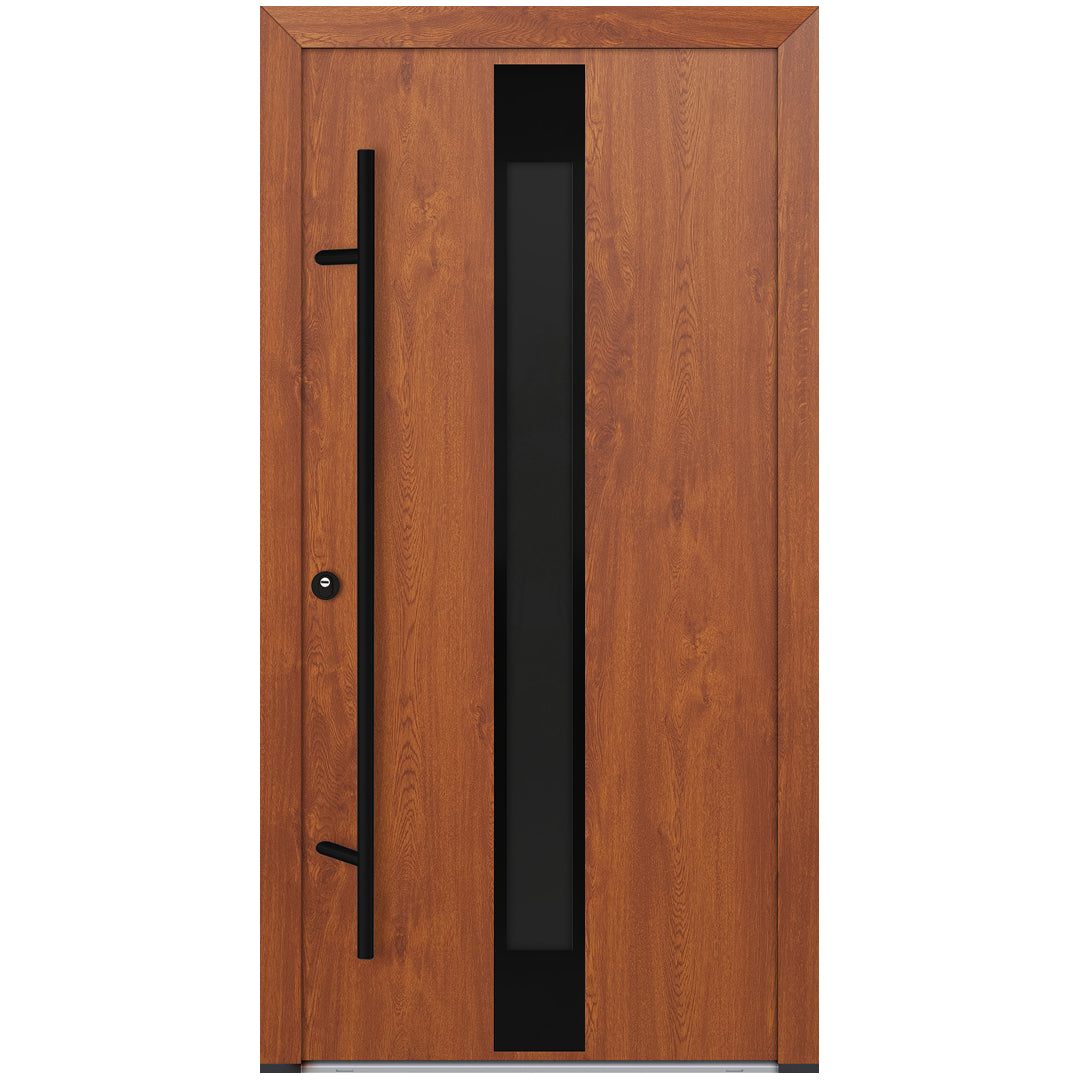 Alu-Steel Door - DL05 Black Edition
