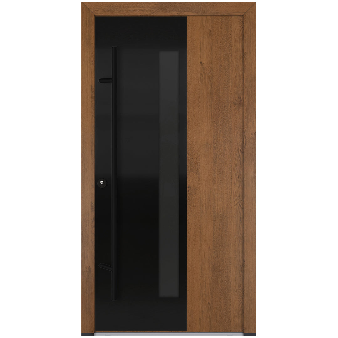 Alu-Steel Door - DL67 Black Edition