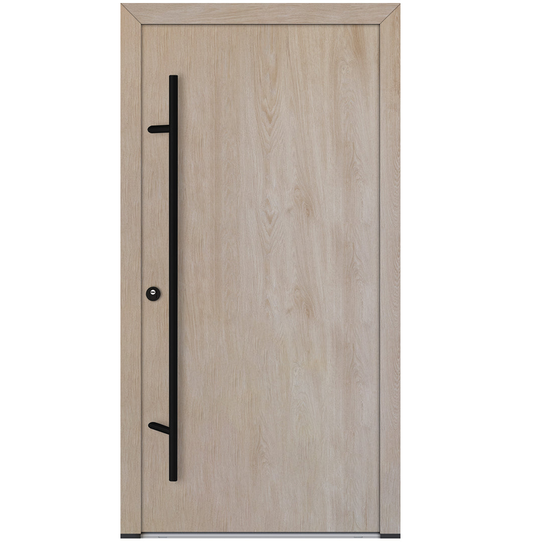 Alu-Steel Door - DL00 Black Edition