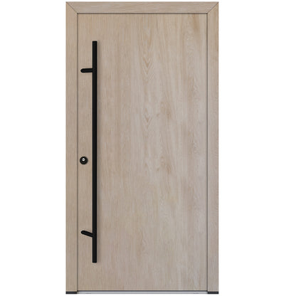 Alu-Steel Door - DL00 Black Edition