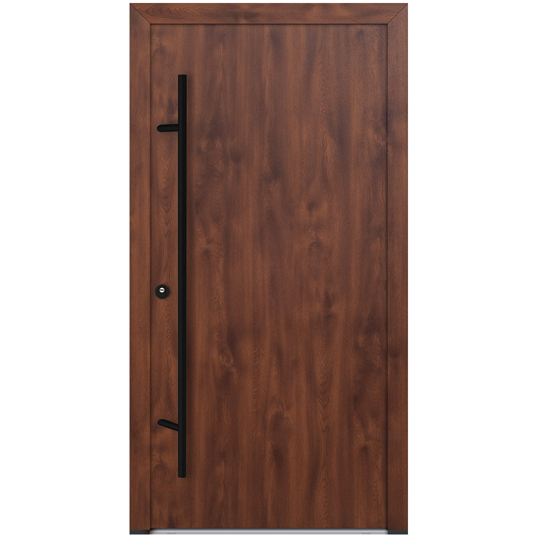 Alu-Steel Door - DL00 Black Edition