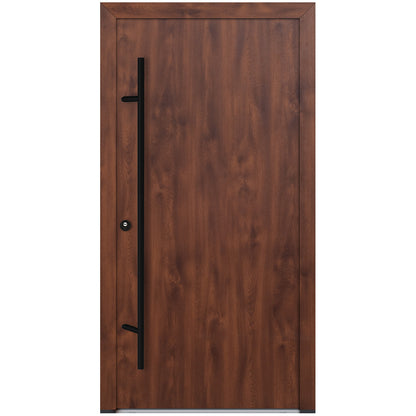 Alu-Steel Door - DL00 Black Edition