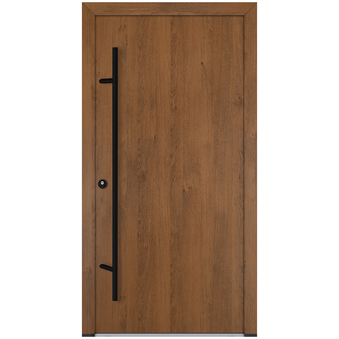 Alu-Steel Door - DL00 Black Edition