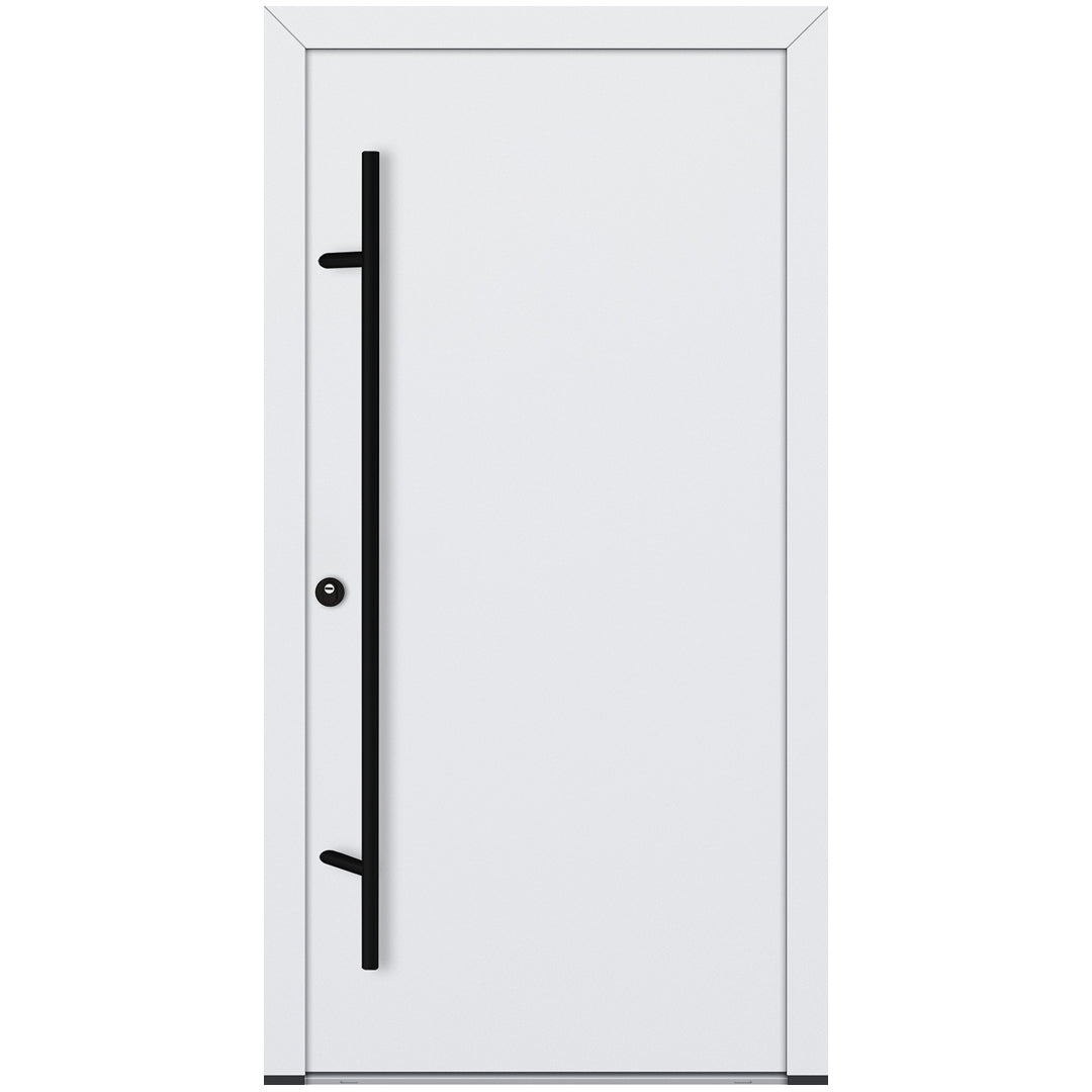 Alu-Steel Door - DL00 Black Edition