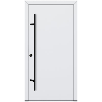 Alu-Steel Door - DL00 Black Edition