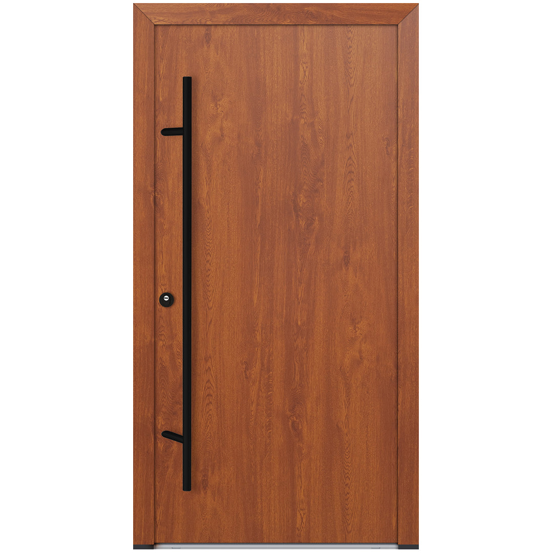 Alu-Steel Door - DL00 Black Edition