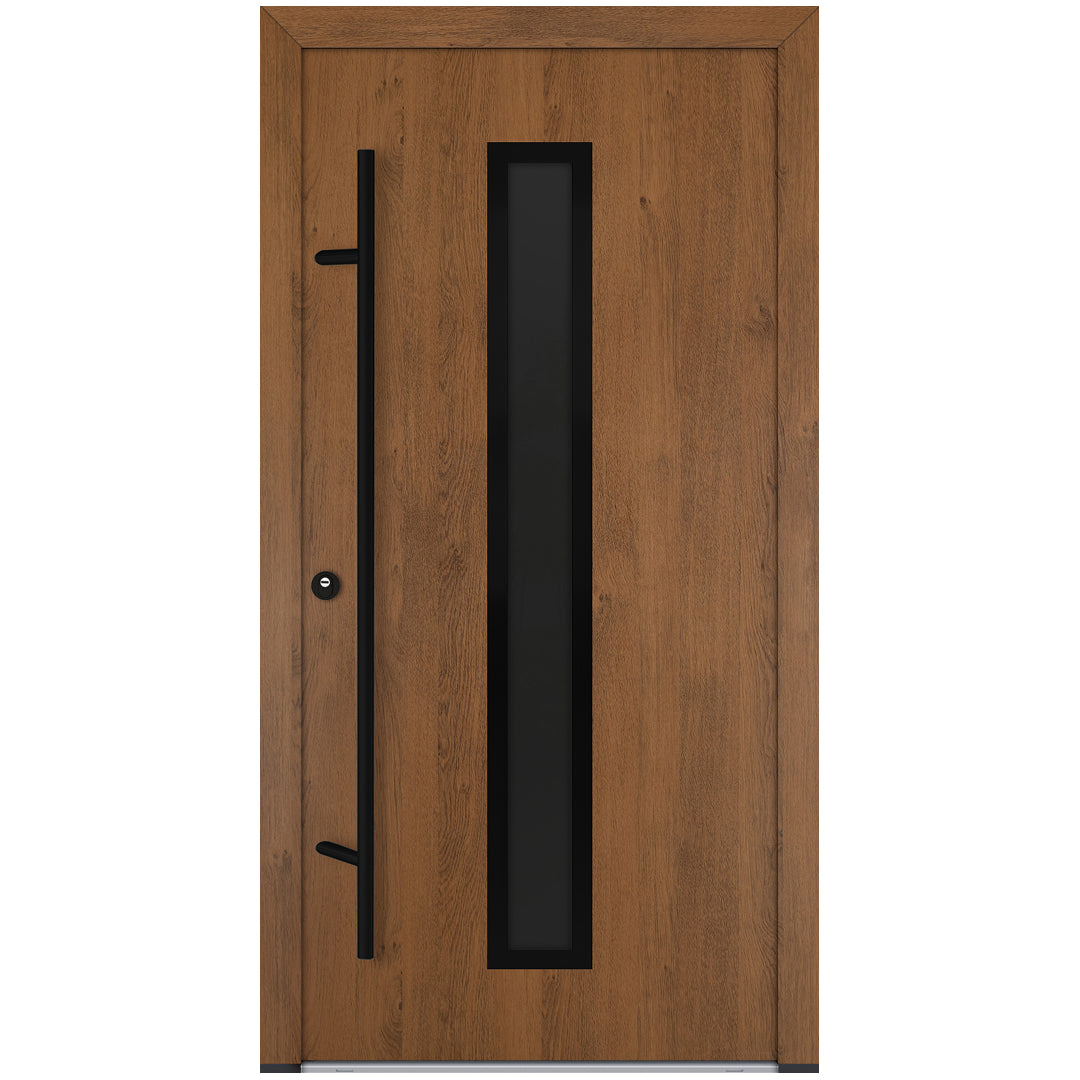 Alu-Steel Door - DL01 Black Edition