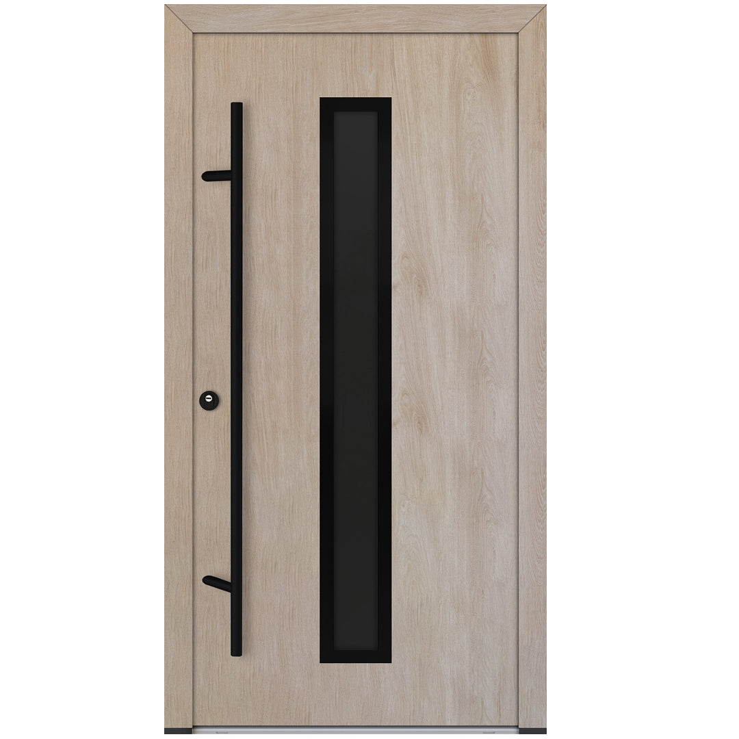 Alu-Steel Door - DL01 Black Edition