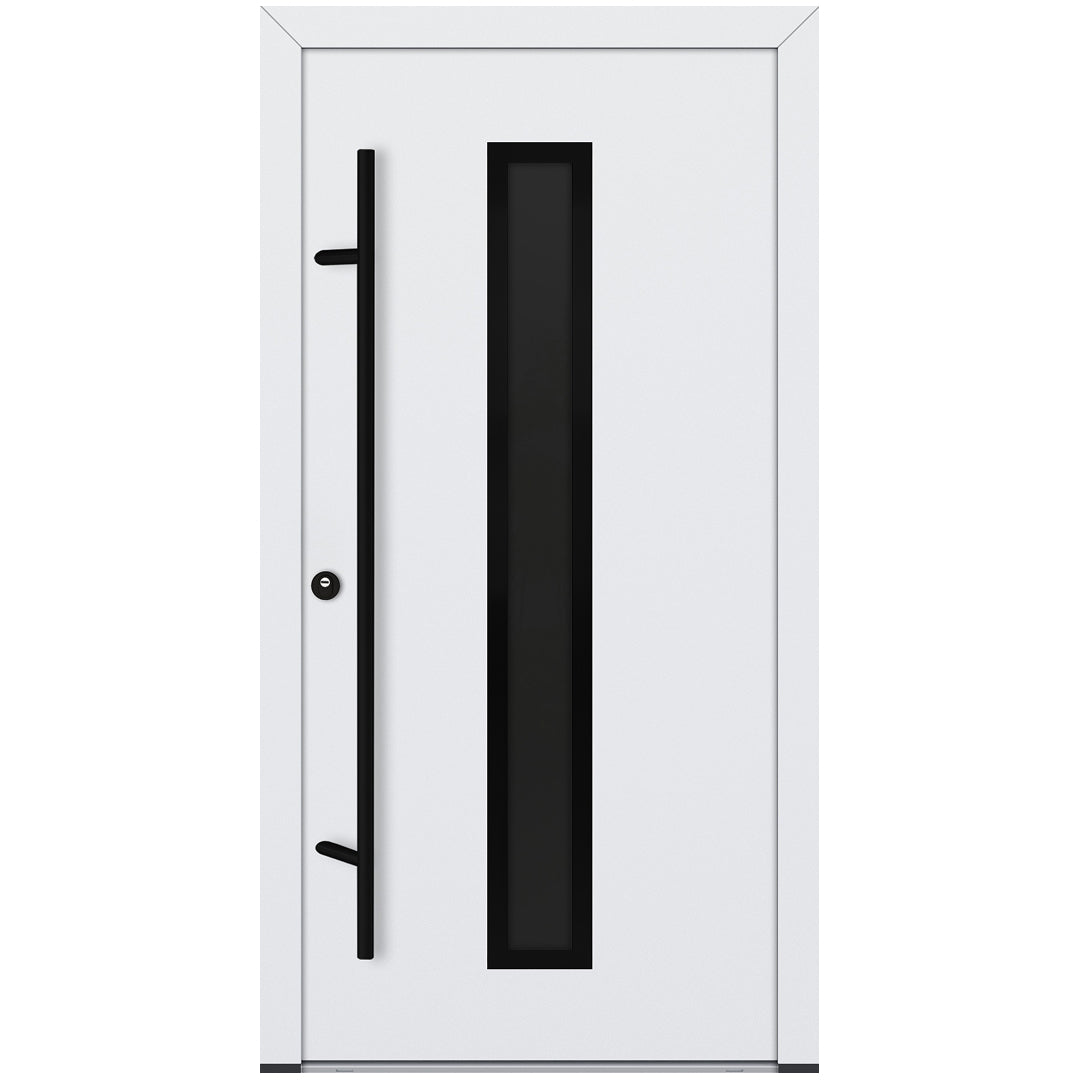 Alu-Steel Door - DL01 Black Edition