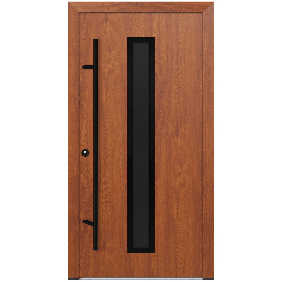 Alu-Steel Door - DL01 Black Edition