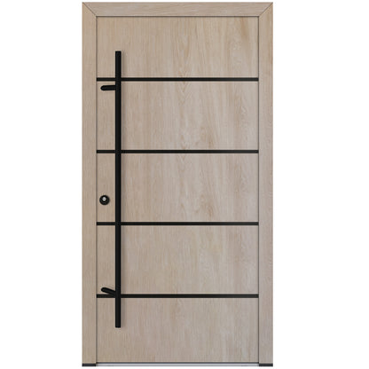 Alu-Steel Door - DL02 Black Edition
