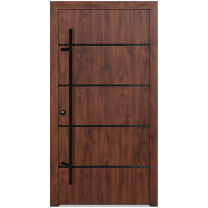 Alu-Steel Door - DL02 Black Edition