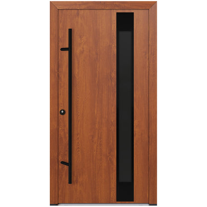 Alu-Steel Door - DL04 Black Edition