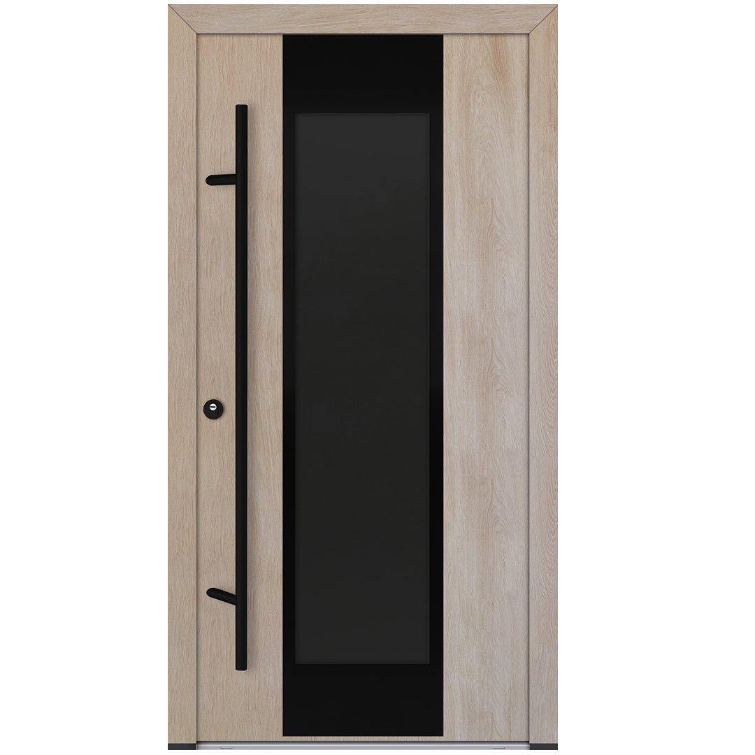Alu-Steel Door - DL08 Black Edition