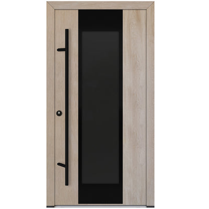 Alu-Steel Door - DL08 Black Edition