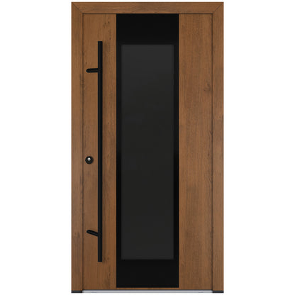 Alu-Steel Door - DL08 Black Edition