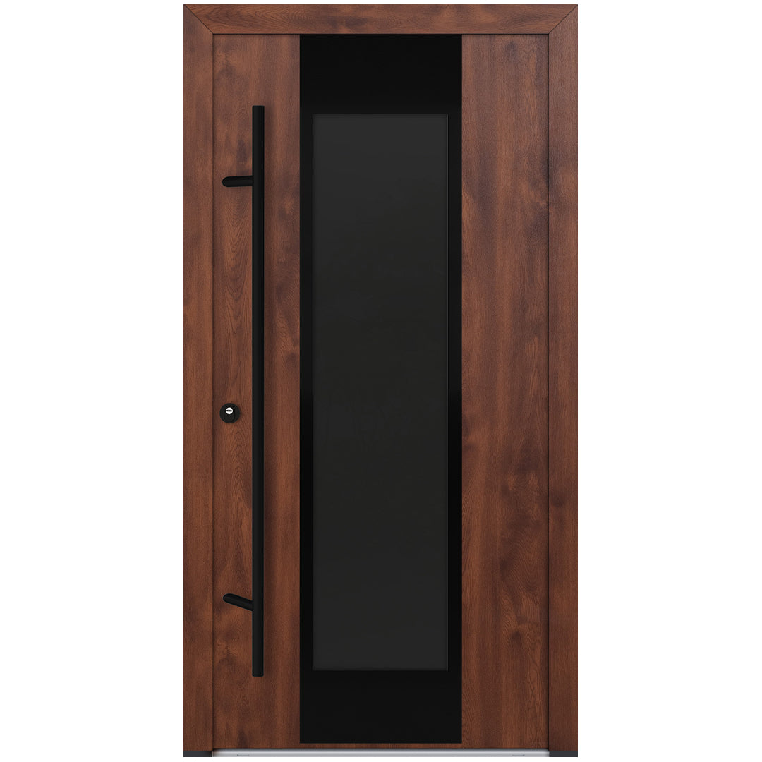 Alu-Steel Door - DL08 Black Edition
