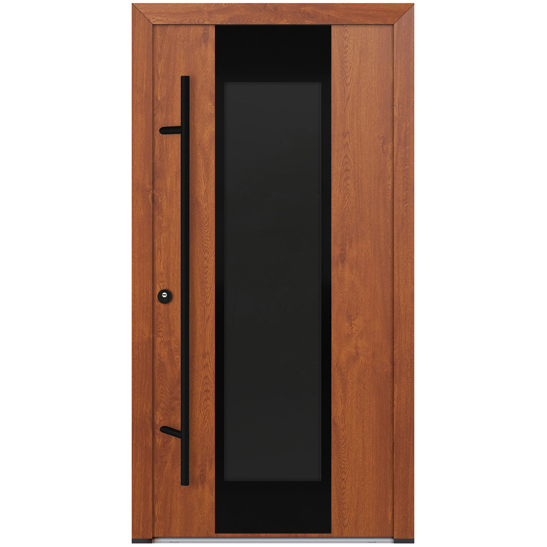 Alu-Steel Door - DL08 Black Edition