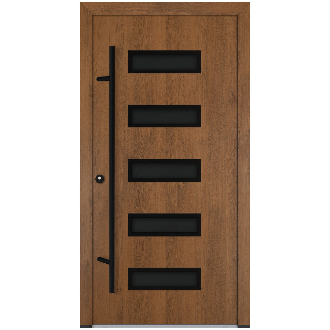 Alu-Steel Door - DL11 Black Edition