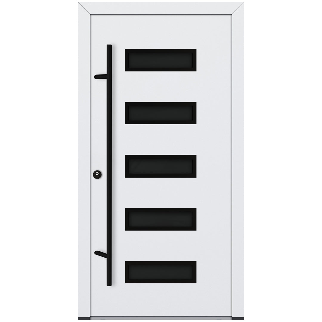 Alu-Steel Door - DL11 Black Edition