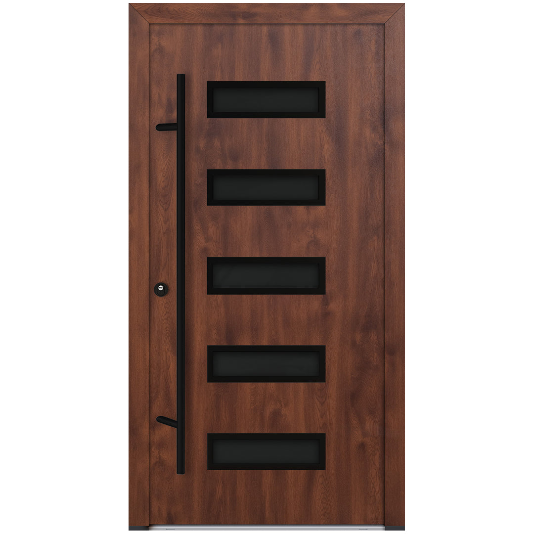 Alu-Steel Door - DL11 Black Edition
