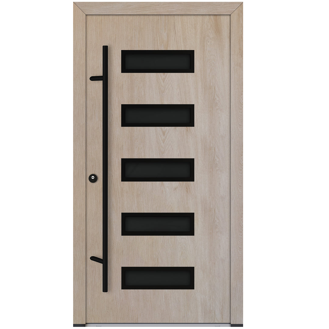 Alu-Steel Door - DL11 Black Edition