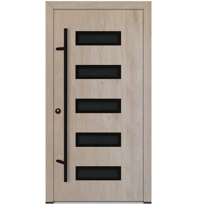Alu-Steel Door - DL11 Black Edition
