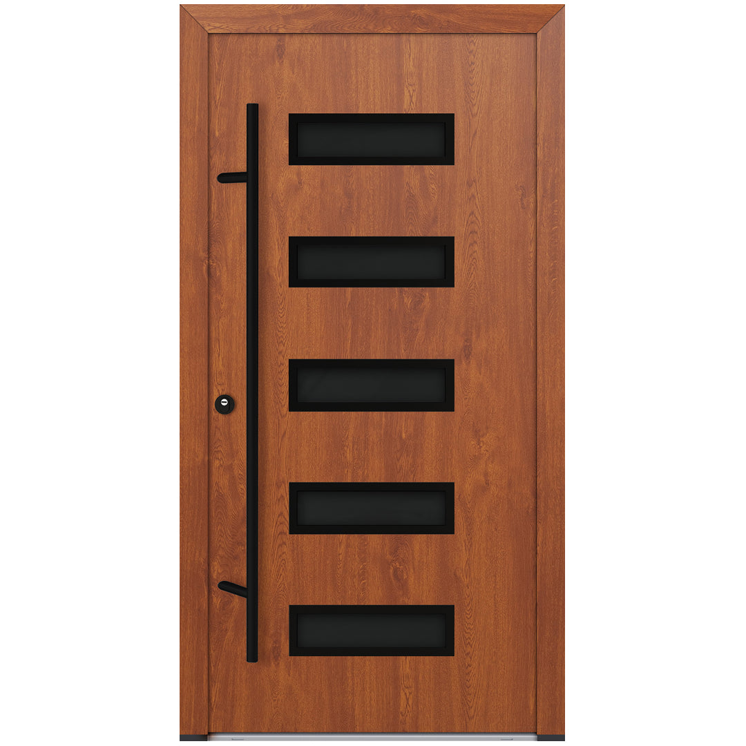 Alu-Steel Door - DL11 Black Edition