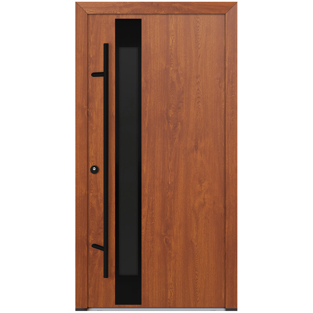Alu-Steel Door - DL14 Black Edition