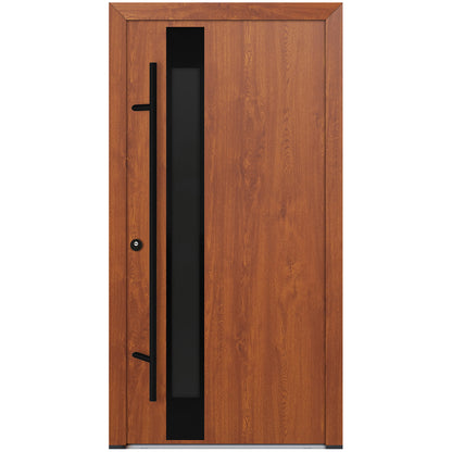 Alu-Steel Door - DL14 Black Edition
