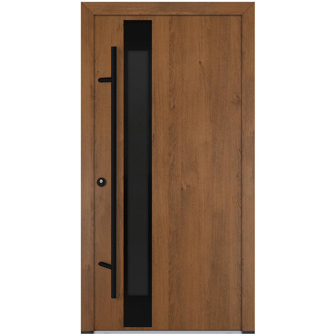 Alu-Steel Door - DL14 Black Edition