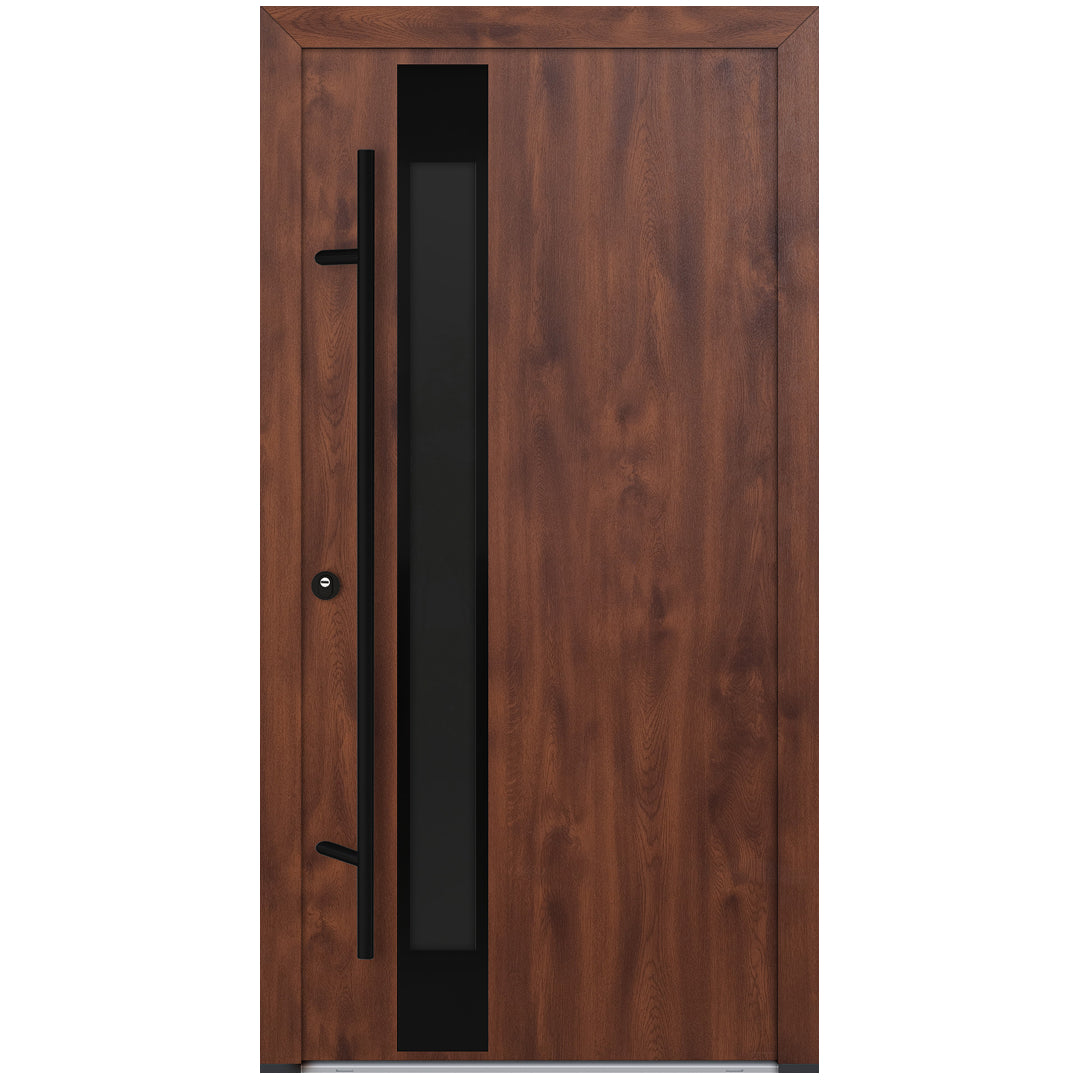 Alu-Steel Door - DL14 Black Edition