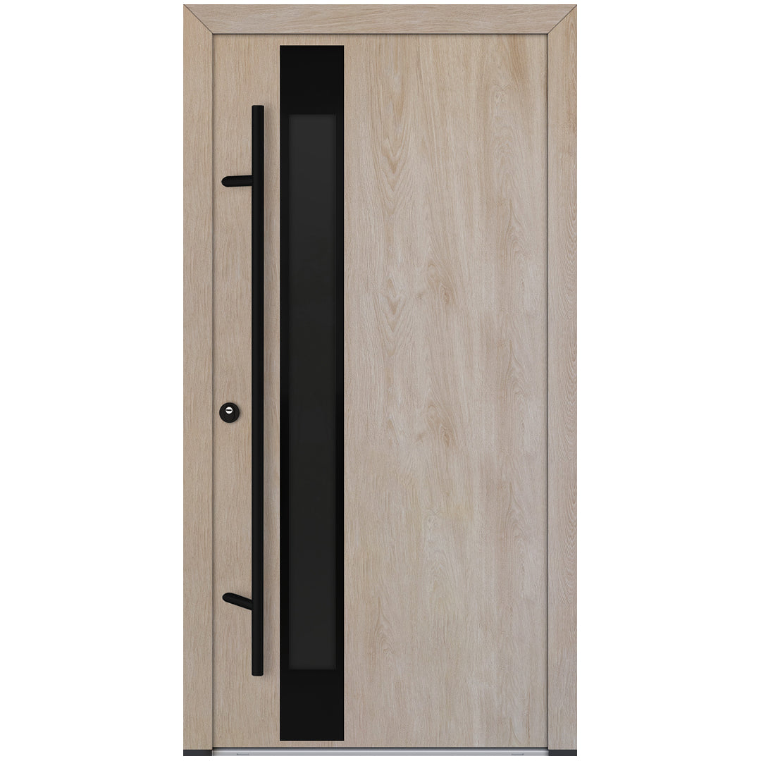 Alu-Steel Door - DL14 Black Edition