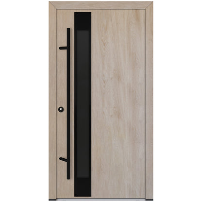 Alu-Steel Door - DL14 Black Edition