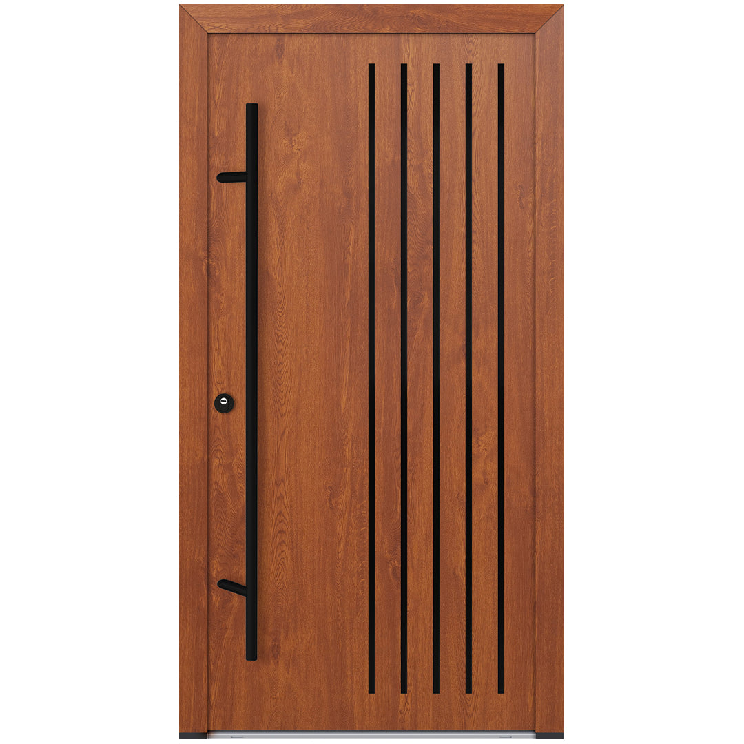 Alu-Steel Door - DL44 Black Edition