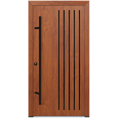 Alu-Steel Door - DL44 Black Edition