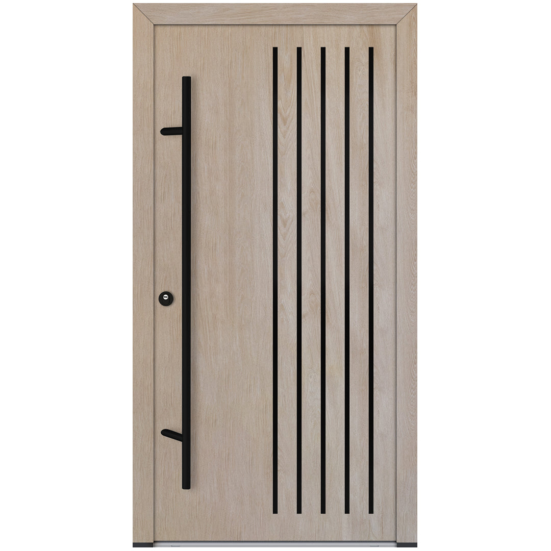 Alu-Steel Door - DL44 Black Edition