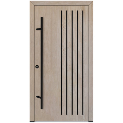Alu-Steel Door - DL44 Black Edition