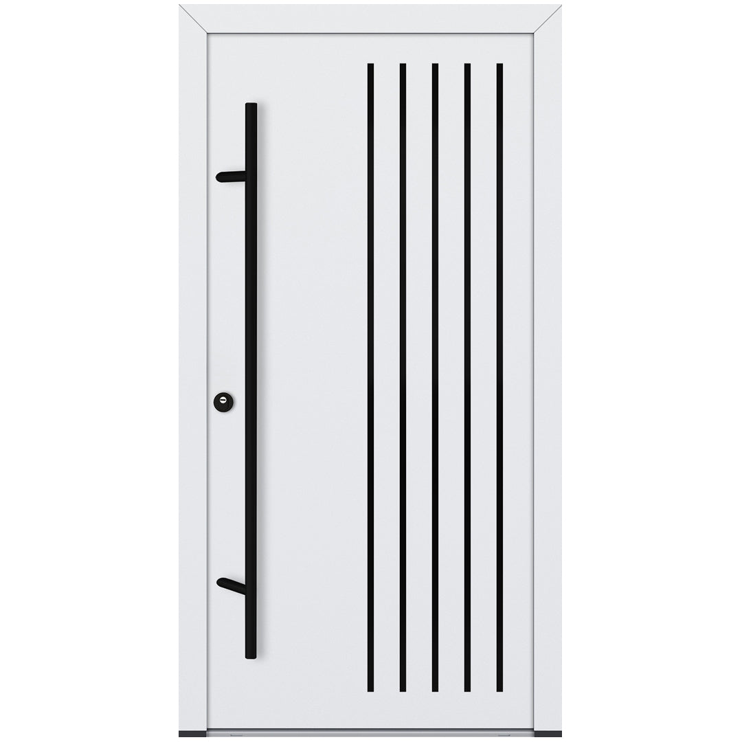Alu-Steel Door - DL44 Black Edition